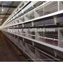 Top Selling Chicken Breeding Equipment en venta